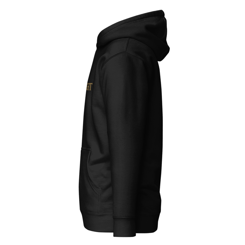 Dawn to Night Embroidered Hoodie